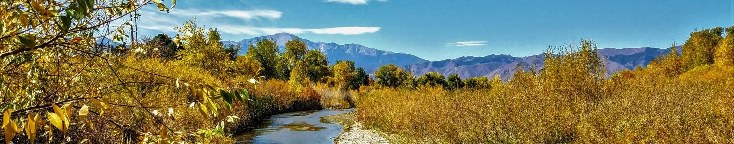 Cottonwood Creek